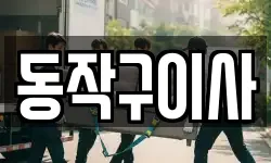 동작구이사