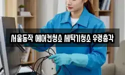 서울동작 에어컨청소 세탁기청소 우렁총각