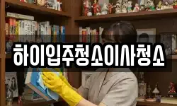 하이입주청소이사청소