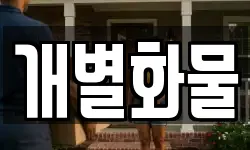 개별화물