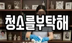 서울특별시 마포구 공덕동 청소,입주청소,사무실청소,에어컨청소