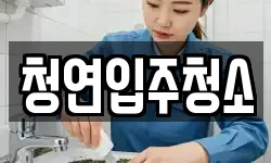 청연입주청소
