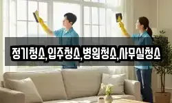 정기청소,입주청소,병원청소,사무실청소