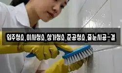 입주청소,이사청소,상가청소,준공청소,줄눈시공-결