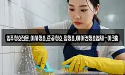 서울특별시 마포구 당인동 청소,입주청소,사무실청소,에어컨청소