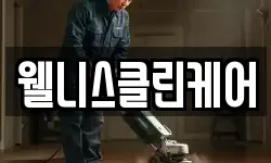 웰니스클린케어