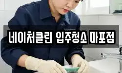 네이처클린 입주청소 마포점