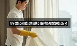 사무실청소정기청소병원청소계단청소학원청소청소용역