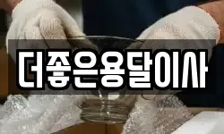 서울특별시 마포구 동교동 이사,용달이사,포장이사,원룸이사,보관이사
