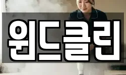 윈드클린