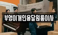 부엉이개인용달원룸이사