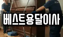 베스트용달이사