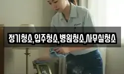 정기청소,입주청소,병원청소,사무실청소
