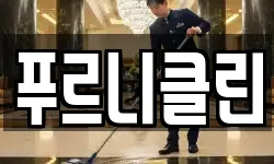 푸르니클린