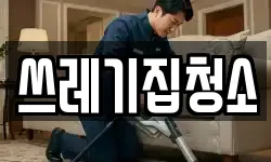 쓰레기집청소