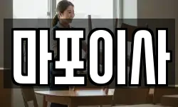 마포이사