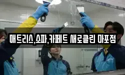 매트리스,소파,카페트 새로클린 마포점