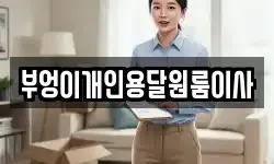 부엉이개인용달원룸이사