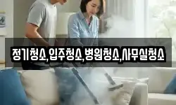 정기청소,입주청소,병원청소,사무실청소