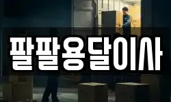 팔팔용달이사