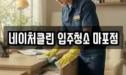 네이처클린 입주청소 마포점