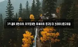 3PL물류.보관이사.이삿짐보관.원룸이사.창고임대.컨테이너창고비용