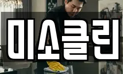 미소클린