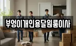 부엉이개인용달원룸이사