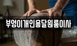 부엉이개인용달원룸이사