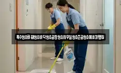 특수청소화재청소바닥청소공장청소사무실청소준공청소예초대행집