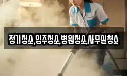 정기청소,입주청소,병원청소,사무실청소