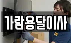 가람용달이사
