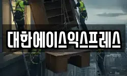 대한에이스익스프레스