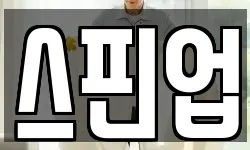 스핀업