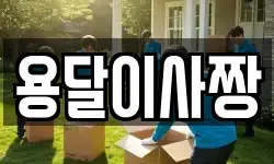 용달이사짱
