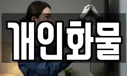 개인화물