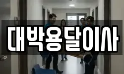 대박용달이사