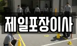 제일포장이사