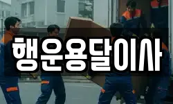 행운용달이사