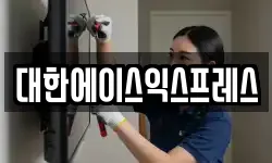 대한에이스익스프레스