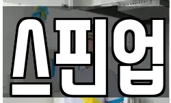 스핀업