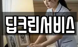 딥크린서비스