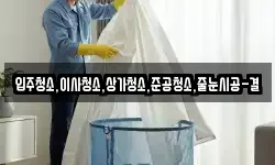 입주청소,이사청소,상가청소,준공청소,줄눈시공-결