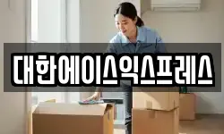 대한에이스익스프레스
