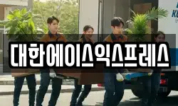 대한에이스익스프레스