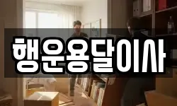 행운용달이사