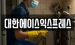 대한에이스익스프레스