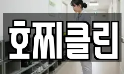 호찌클린