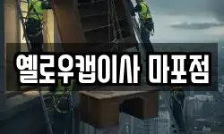 옐로우캡이사 마포점