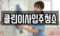 클린이사입주청소